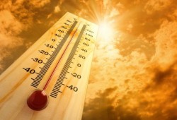 الأرصاد: طقس اليوم شديد الحرارة والعظمى بالقاهرة 44 درجة