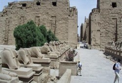 "المركزى للإحصاء" 54% تراجعًا فى أعداد السائحين الوافدين لمصر في إبريل