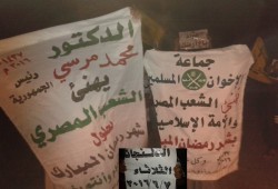 مظاهرة حاشدة لثوار الدلنجات تهتف ضد الخائن السيسي