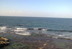 طقس اليوم معتدل (تعرف على درجات الحرارة المتوقعة)