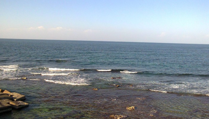 طقس اليوم معتدل (تعرف على درجات الحرارة المتوقعة)