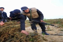 بالأسماء.. 28 مختفيًا قسريًا من أبناء سيناء بينهم سيدتين