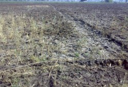 الأهالي يصرخون لإنقاذهم من العطش وبوار الأراضي الزراعية