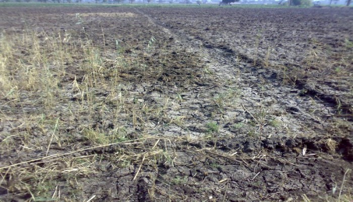 الأهالي يصرخون لإنقاذهم من العطش وبوار الأراضي الزراعية