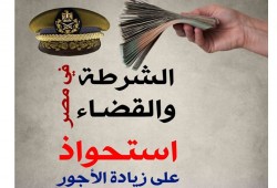 (إنفوغراف) الشرطة والقضاء بمصر.. نصيب الأسد في زيادة الأجور