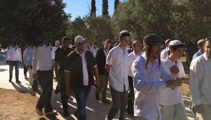 100 مستوطن يقتحمون الأقصى وسط حراسة شرطة الاحتلال