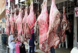 غرفة الجيزة التجارية: 15 % ارتفاعًا بأسعار اللحوم