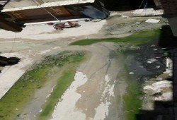 غرق مساكن الحرمين بالمندرة في مياه الصرف الصحي والمسؤلون نيام