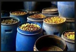 مصرع عاملين سقطا فى بئر داخل مصنع مخللات بالفيوم