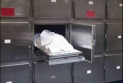 العثور على نصف جثة لسيدة مجهولة الهوية بالشرقية