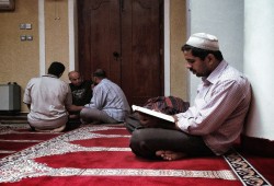 بالقرآن نرتقي