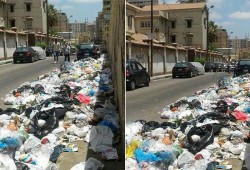 القمامة تحاصر مبنى الإدارة العامة للتأمين الصحى بالإسكندرية