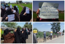مظاهرات متنوعة بالدقهلية رافضة لأحكام القضاء مطالبة برحيل العسكر