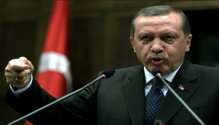 "أردوغان": سنصنع حاملة طائرات بقدرات محلية مستقبلًا