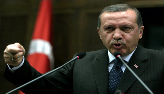 "أردوغان": سنصنع حاملة طائرات بقدرات محلية مستقبلًا