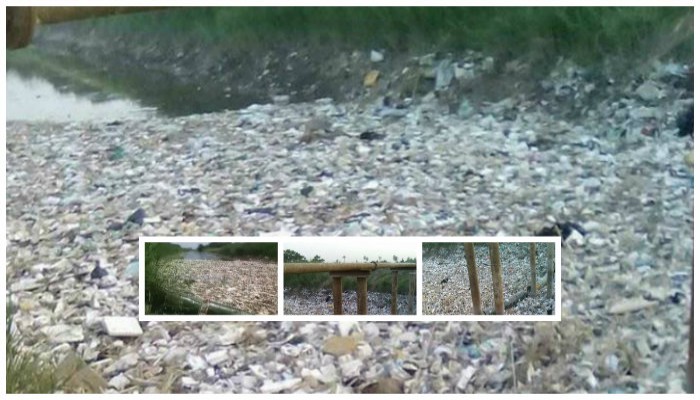 انتشار القمامة في مجرى مائي بشبين القناطر.. وسط تجاهل ري الانقلاب