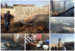 حريق هائل يلتهم 10 منازل و70 رأس ماشية بقرية بأسيوط