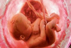 من أجل صحتكِ والجنين.. احرصي على تناول هذه الأغذية