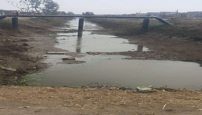 مزارعون: محاصيلنا تلفت من انقطاع مياه الرى