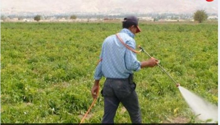 خيانة جديدة.. الانقلاب يستورد مبيدات محرمة دوليا من إسرائيل