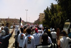 مظاهرات متنوعة بالشرقية رغم ارتفاع درجات الحرارة في جمعة "مكملين لننقذ مصر"