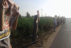 شعار "الثورة تجمعنا" يملأ فعاليات ثوار المحمودية بالبحيرة