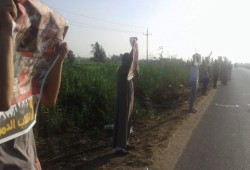 شعار "الثورة تجمعنا" يملأ فعاليات ثوار المحمودية بالبحيرة