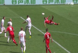 بولندا تتأهل على حساب سويسرا رغم هدف شاكيري "العالمي" (فيديو)