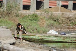 بعد القمح والأرز والقطن.. "الثروة السمكية" في ذمة الله