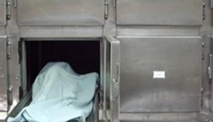 مصرع أب وإصابة نجله في حادث تصادم في الدقهلية