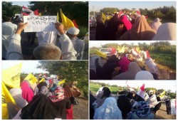 ثوار دسوق بكفر الشيخ يرفعون شعار "الثورة تجمعنا" في مسيرة حاشدة