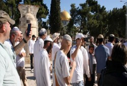 "حماس" تدعو للرباط بالأقصى والتصدي لاقتحامات المستوطنين