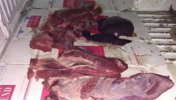 تقرير رسمي يكشف الكارثة.. كلاب وفئران وحمير في بطون المصريين