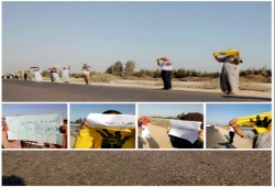 فعالية لثوار "النوبارية" بالبحيرة تطالب بعودة الشرعية ومحاكمة المنقلبين