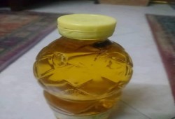 آخر إنجازات السيسي.. صرصار في زيت التموين