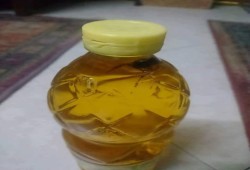 آخر إنجازات السيسي.. صرصار في زيت التموين