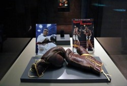 معرض بقطر تحية لأسطورة الملاكمة محمد علي