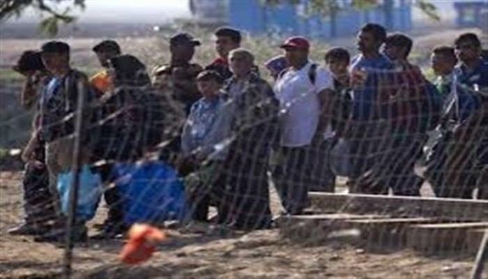 6 آلاف لاجئ يغادرون مطار فرانكفورت بألمانيا بشكل طوعي