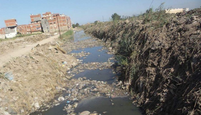 الزراعة في قليوب مهددة بسبب تلوث مياه الترع