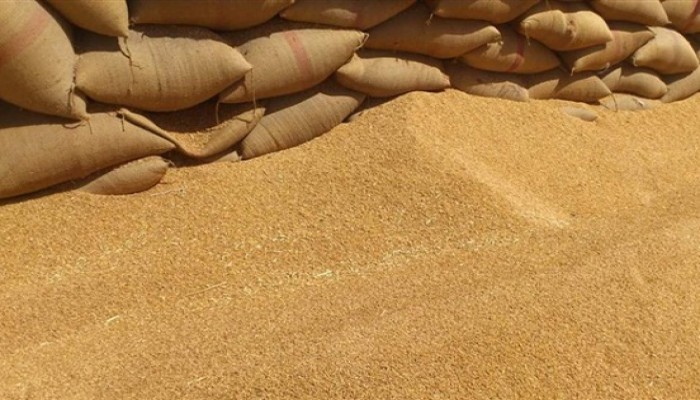 وزير انقلابي سابق: مصر تستورد 65% من غذائها