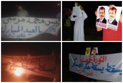 بالصور.. الغربية : فعاليتين لثوار قطور ضمن فعاليات "لن نترك مصر تضيع"