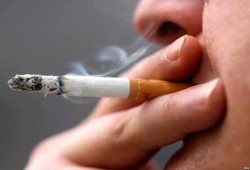 دراسة: 7 آلاف مكون للسيجارة لا يعرف عنها المدخنون شيئًا