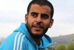 أيرلندا على خطى إيطاليا للتصعيد مع مصر بسبب "حلاوة"