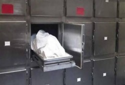 الإهمال الطبي يودي بحياة معتقل بالمنصورة