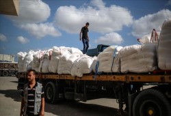 شاحنات جديدة من مساعدات السفينة التركية "ليدي ليلي" تصل غزة