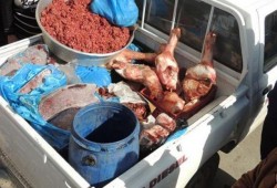 ضبط 130 ألف عبوة لحوم وكبدة وبسطرمة غير صالحة داخل مطعم شهير بطنطا