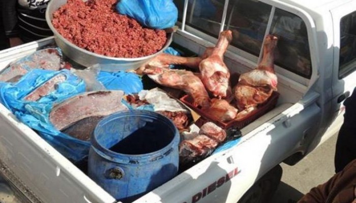 ضبط 130 ألف عبوة لحوم وكبدة وبسطرمة غير صالحة داخل مطعم شهير بطنطا
