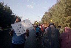 سلسلة بشرية تتحول الى مسيرة حاشدة لثوار "النوبارية" تثني على ثبات الشعب التركي ورفضة الانقلاب