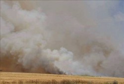 مواطن تركي يضرم النار في محصوله الزراعي لعرقلة الطائرات المشاركة في محاولة الانقلاب