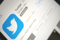 رسميًا: تويتر تتيح التقدم لتوثيق الحسابات للجميع